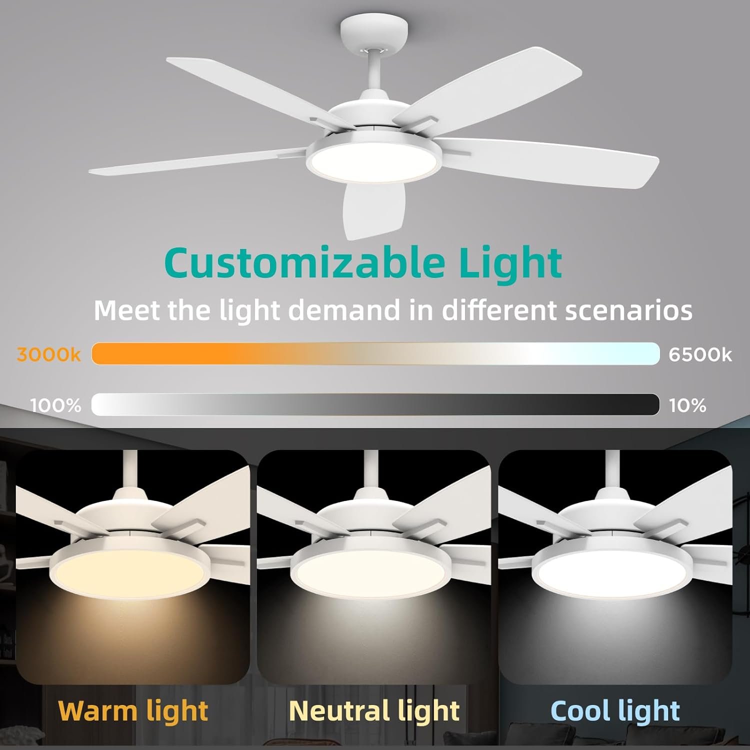 Ceiling Fan with Lights Review