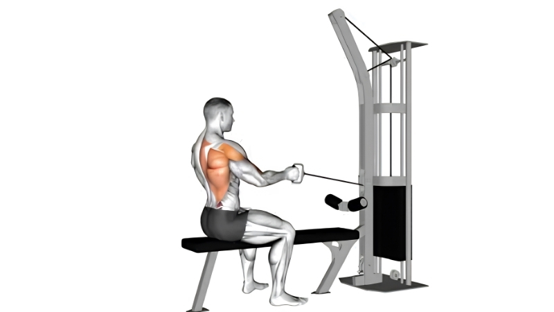 How to Pick the Best Cable Machine for Home Gym Training
