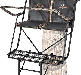Best 2 Person Ladder Stand (2026)