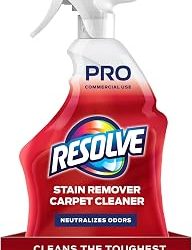 Best Carpet Cleaner For Stains (2026)