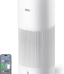 Best Evaporative Humidifier (2026)