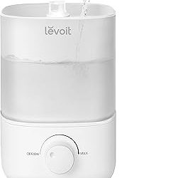 Best Humidifier For Dry Eyes (2026)