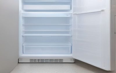 Best Refrigerator With Dual Ice Maker (2026)