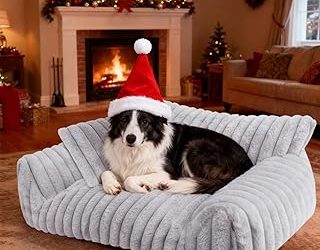 Best Sofa For Dog (2026)