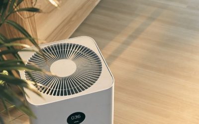 5 Best Allergy Air Purifiers for Pollen and Dust in 2026