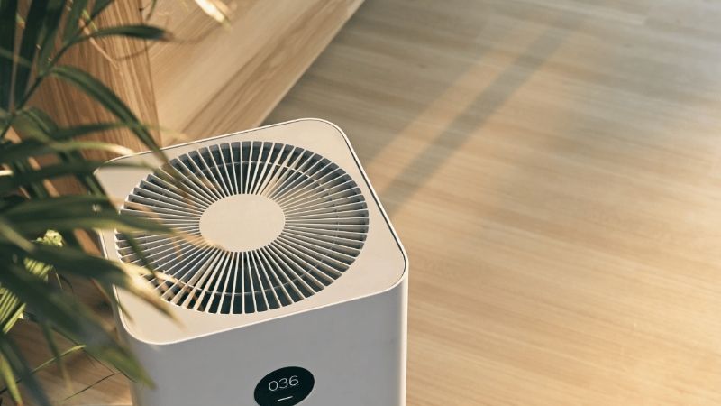 allergy air purifier