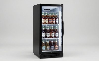 Best Beer Refrigerators for Home Entertaining