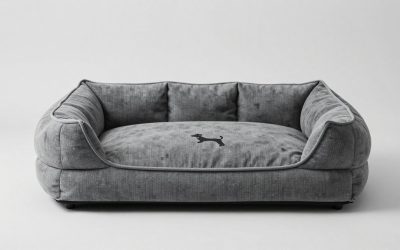 Best Calming Dog Beds for Anxious Sleepers
