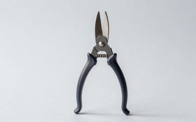 Best Loppers for Pruning Trees and Shrubs