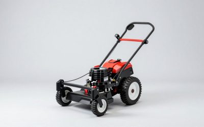 Best Reel Push Mowers for Small and Medium Lawns
