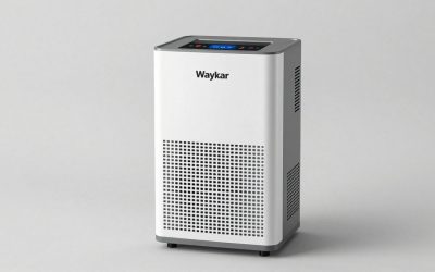 Best Waykar Dehumidifier: Eight Listings Decoded, From 34 to 150 Pints