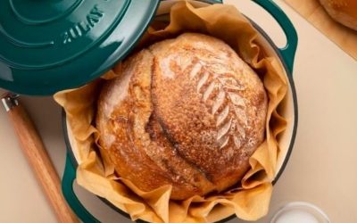 Cast Iron Dutch Oven: 6 Models for Braising and Baking Bread
