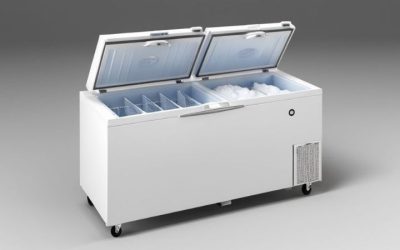 Chest freezer: 6 models compared for home and garage use