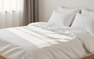 Cool Mist vs Warm Mist Humidifier: Which Type Fits Your Home