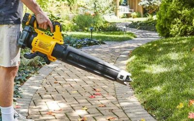 Cordless Leaf Blower: 6 Models Compared for Yard Cleanup