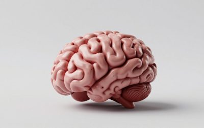Dig and Hatch a Brainrot Beginner Guide