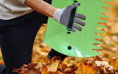 Best Ergonomic Leaf Rake in 2026: 6 Top Compared Lawn Tools