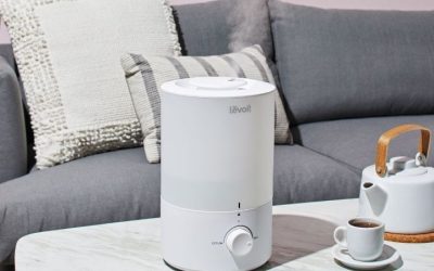 6 Best Filterless Humidifiers in 2026