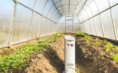 5 Best Greenhouse Heater Models for Winter Warmth (2026)