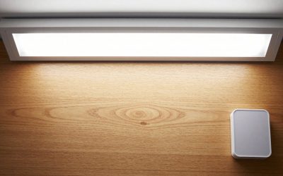 Grow Light Timers With Sunrise-Sunset Schedules for Houseplants
