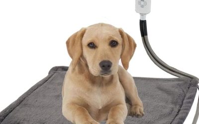 5 Best Heated Pet Beds for Cats and Dogs in Winter 2026