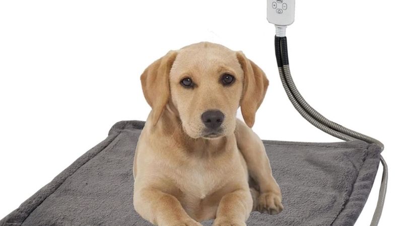 heated pet bed
