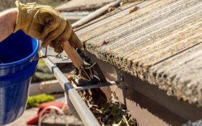 How to Clean Gutters: The Complete DIY Guide for Homeowners