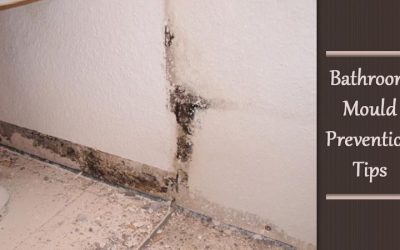 How to Prevent Mold in Bathroom: A Moisture-Control Routine