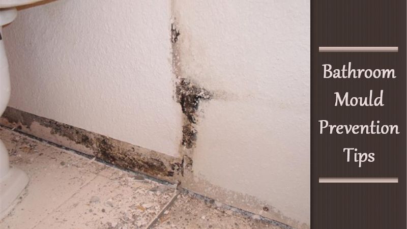 how to prevent mold in bathroom