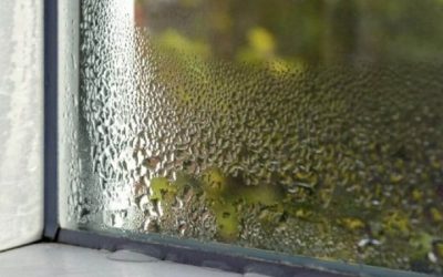 How to Reduce Indoor Dust With Better Room Cleaning Habits