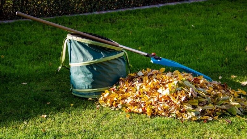 how to remove leaves from lawn