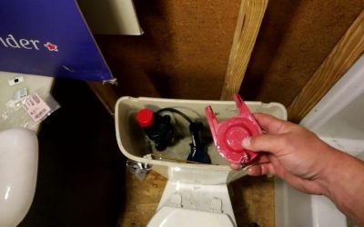How to Replace Toilet Flapper: 7 Steps to Stop Leaks