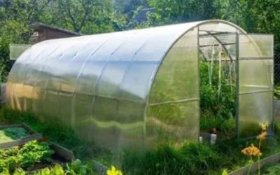 How to Winterize a Greenhouse: 7 Steps Before Cold Weather