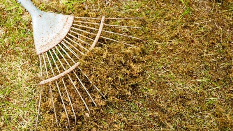 how to winterize a lawn