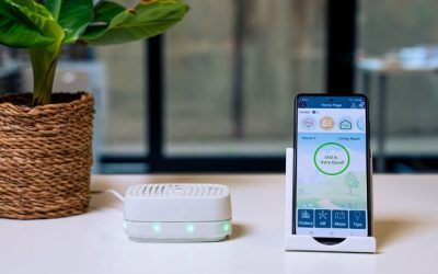 4 Best Indoor Air Quality Monitors for Healthy Homes 2026