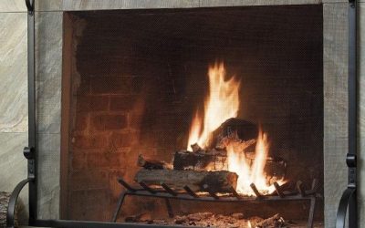 6 Best Indoor Fireplace Screens for Safety and Style 2026