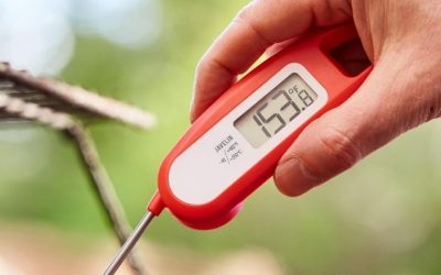 Best Instant Read Thermometer in 2026: 6 Top Top Picks