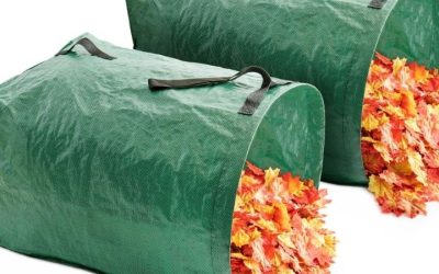 6 Best Leaf Collection Bag Options for Fall Cleanup in 2026