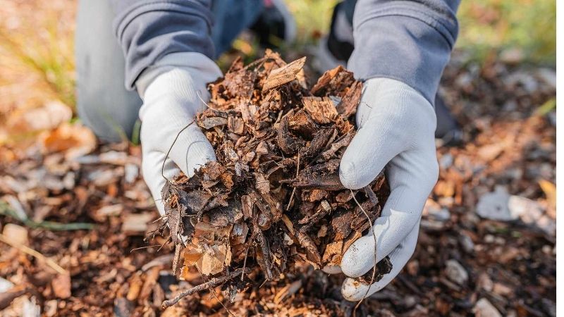 should you mulch leaves