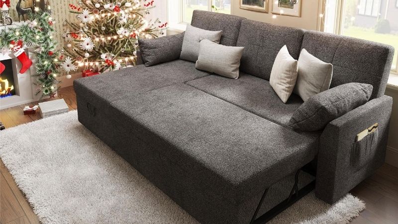 sleeper sofa