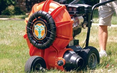 6 Best Walk Behind Leaf Blower Reviews: Top Picks for 2026