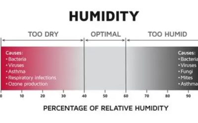 What Humidity Should a House Be in Winter? Safe RH Guide