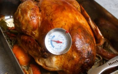 What Temperature to Cook Turkey? Oven and Internal Targets