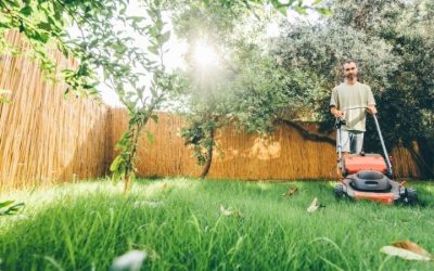 When to Stop Mowing Grass: Fall Timing and Last Cut