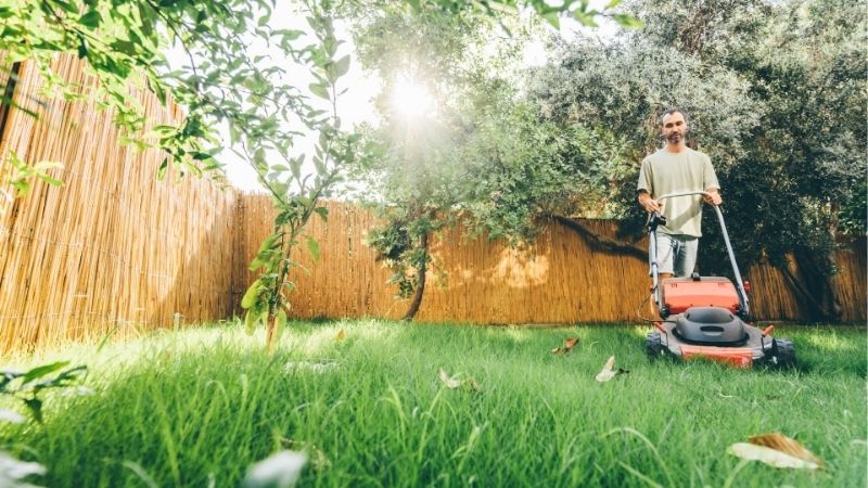 when to stop mowing grass