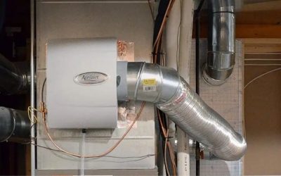 Top 6 Best Whole House Humidifier Models for Winter (2026)