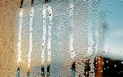 Why Are My Windows Sweating? Causes and Moisture Checks