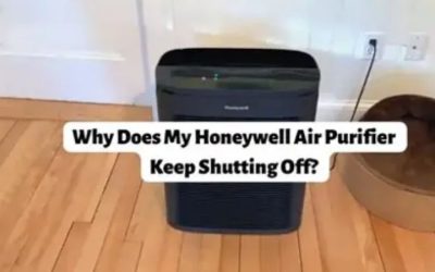 Why Does My Air Purifier Smell? Causes and Safe Responses