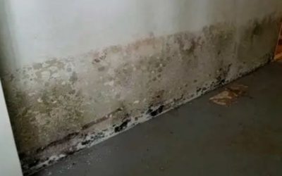 Why Does My Basement Smell Musty? Moisture Causes to Check