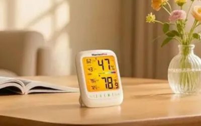 Why Is My House So Dry? Heating, Airflow and Low Humidity